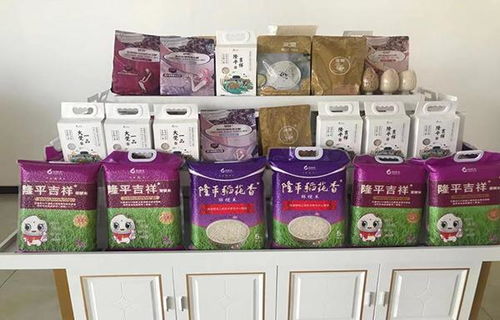 津门秋韵，舟载风华——天津新增两条赏秋精品线路深度游