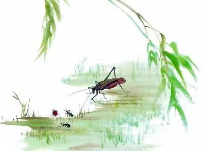 秋舟文化 中影总裁班讲述千年文化的传承与创新